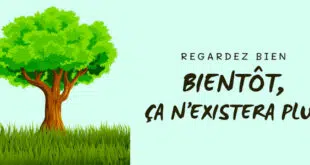 Illustration d'un arbre luxuriant avec un message préventif sur la disparition imminente des forêts naturelles, reflétant les préoccupations discutées lors de la réunion publique à Égletons concernant l'expansion de l'usine Fargesbois et ses effets sur la forêt limousine