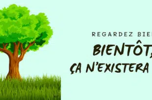 Illustration d'un arbre luxuriant avec un message préventif sur la disparition imminente des forêts naturelles, reflétant les préoccupations discutées lors de la réunion publique à Égletons concernant l'expansion de l'usine Fargesbois et ses effets sur la forêt limousine