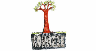 Illustration symbolique montrant un arbre à l'écorce rouge vibrant, enraciné dans un sol montrant des couches géologiques, symbolisant la lutte pour la préservation des terres agricoles contre l'expansion industrielle à Égletons.