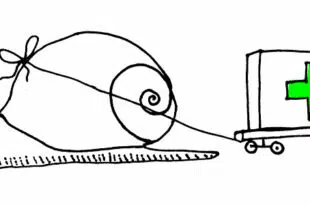 Dessin d'un escargot tirant une lourde charge marquée d'une croix verte, symbolisant les lenteurs administratives de la MSA et les difficultés à obtenir des prestations sociales.