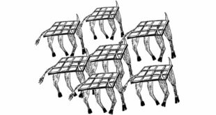 Illustration humoristique montrant des vaches équipées de panneaux solaires sur le dos, symbolisant l'agrivoltaïsme en Corrèze et les tensions autour de l'usage du foncier rural entre projets agricoles et énergétiques.