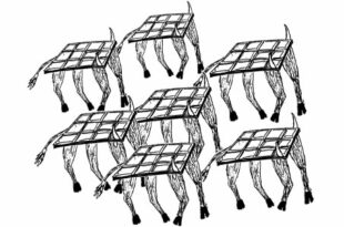 Illustration humoristique montrant des vaches équipées de panneaux solaires sur le dos, symbolisant l'agrivoltaïsme en Corrèze et les tensions autour de l'usage du foncier rural entre projets agricoles et énergétiques.