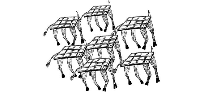 Illustration humoristique montrant des vaches équipées de panneaux solaires sur le dos, symbolisant l'agrivoltaïsme en Corrèze et les tensions autour de l'usage du foncier rural entre projets agricoles et énergétiques.