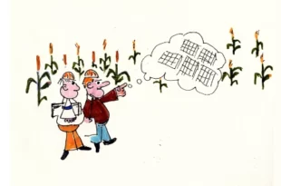 Deux promoteurs en casques de chantier traversent un champ de maïs, imaginant des panneaux solaires à la place des cultures. Illustration satirique des projets agrivoltaïques menaçant les terres agricoles sur le plateau de Millevaches.
