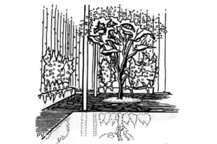 Illustration d’un espace végétalisé et apaisant, reflet d’un aménagement durable autour du lac de la Triouzoune, devenu un modèle écologique.