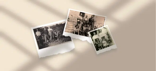 Montage de trois photographies anciennes en noir et blanc ou sépia, représentant des scènes de la Résistance en Corrèze pendant la Seconde Guerre mondiale, disposées sur un fond beige éclairé par des ombres de fenêtre.