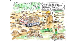 Dessin humoristique d’une coupe rase : un camion charge des troncs tandis qu’un homme en casque dit « On va pouvoir imprimer un paquet de chartes pour la protection de l’environnement ! ». Un pivert en colère observe la scène, entouré de souches d’arbres.
