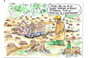 Dessin humoristique d’une coupe rase : un camion charge des troncs tandis qu’un homme en casque dit « On va pouvoir imprimer un paquet de chartes pour la protection de l’environnement ! ». Un pivert en colère observe la scène, entouré de souches d’arbres.
