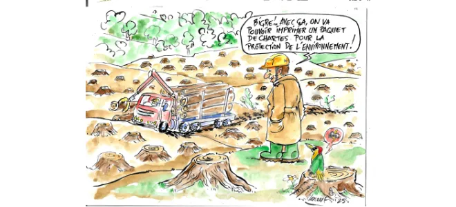 Dessin humoristique d’une coupe rase : un camion charge des troncs tandis qu’un homme en casque dit « On va pouvoir imprimer un paquet de chartes pour la protection de l’environnement ! ». Un pivert en colère observe la scène, entouré de souches d’arbres.