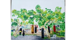 Peinture colorée représentant une scène de boxe en plein air à La Roche-Canillac, avec des sacs suspendus aux arbres sous un feuillage verdoyant.