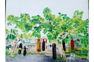 Peinture colorée représentant une scène de boxe en plein air à La Roche-Canillac, avec des sacs suspendus aux arbres sous un feuillage verdoyant.