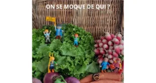 Des figurines Playmobil posées sur des salades, radis et carottes, brandissant des pancartes et fourches, questionnant « On se moque de qui ? Plus un radis ? », une mise en scène humoristique et critique sur l’agriculture et le vernis vert.