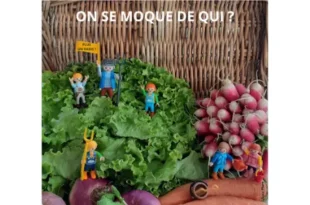 Des figurines Playmobil posées sur des salades, radis et carottes, brandissant des pancartes et fourches, questionnant « On se moque de qui ? Plus un radis ? », une mise en scène humoristique et critique sur l’agriculture et le vernis vert.