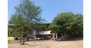 Ancienne ferme du Battement d’ailes à Lauconie, avec bâtiments en bois, arbres autour et cour dégagée sur la colline.