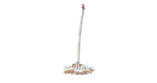 Dessin au crayon de couleur d'un rouge-gorge perché au sommet du long manche d'une bêche plantée dans la terre, illustrant le poème "Une ombre" de Daniel Soularue qui évoque ce souvenir d'enfance.