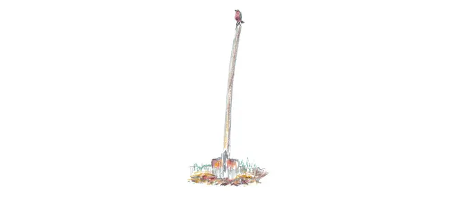 Dessin au crayon de couleur d'un rouge-gorge perché au sommet du long manche d'une bêche plantée dans la terre, illustrant le poème "Une ombre" de Daniel Soularue qui évoque ce souvenir d'enfance.