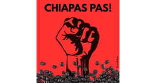 Couverture du livre "Chiapas Pas !" – titre en lettres rouges sur fond clair, avec la mention "Sycomore" – en lien avec l'article sur le café du Chiapas et la lutte zapatiste.