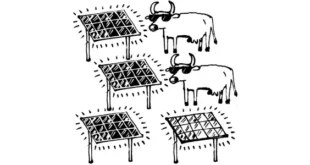 Illustration de l'article sur l'agrivoltaïsme en Corrèze : quatre panneaux solaires stylisés plantés dans le sol avec des rayons lumineux, aux côtés d'une vache aux cornes imposantes portant des lunettes noires, symbolisant la cohabitation entre production photovoltaïque et élevage.