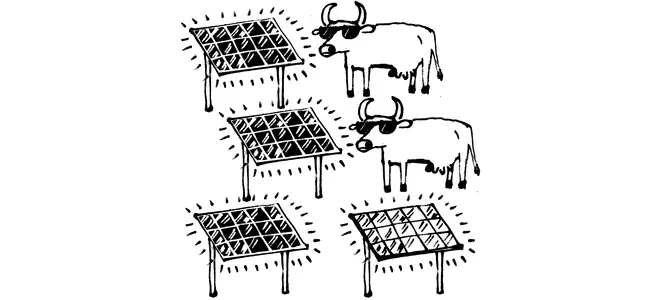 Illustration de l'article sur l'agrivoltaïsme en Corrèze : quatre panneaux solaires stylisés plantés dans le sol avec des rayons lumineux, aux côtés d'une vache aux cornes imposantes portant des lunettes noires, symbolisant la cohabitation entre production photovoltaïque et élevage.