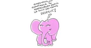 Illustration avec le slogan : "CHEZ NOUS, CONSIGNACE AU MATÉRIEL DE TOUT LA NUIT DES TEMPS RESPECT !" – texte humoristique sur fond d'éléphant, en lien avec l'article L'info qui énerve !.