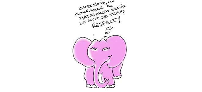 Illustration avec le slogan : "CHEZ NOUS, CONSIGNACE AU MATÉRIEL DE TOUT LA NUIT DES TEMPS RESPECT !" – texte humoristique sur fond d'éléphant, en lien avec l'article L'info qui énerve !.