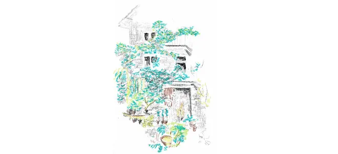 Dessin représentant la maison de Manu à Malmaury, entourée de végétation luxuriante. Un lieu inspirant, où la nature et l’humain cohabitent harmonieusement.