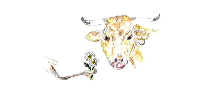 Aquarelle de Bernard : la vache Mounette, une fleur à la bouche.