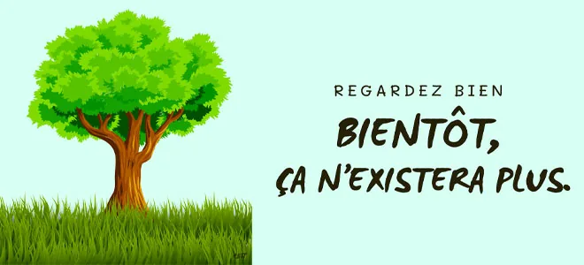 Illustration d'un arbre luxuriant avec un message préventif sur la disparition imminente des forêts naturelles, reflétant les préoccupations discutées lors de la réunion publique à Égletons concernant l'expansion de l'usine Fargesbois et ses effets sur la forêt limousine