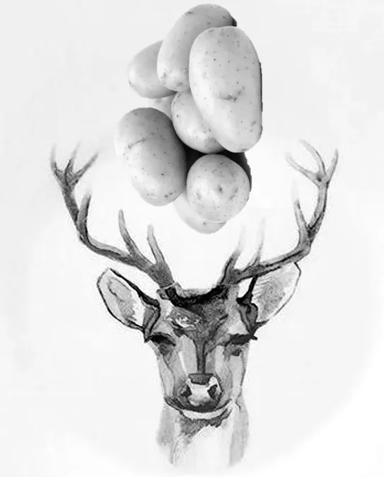 Dessin : une tête de cerf portant des pommes de terre sur ses bois