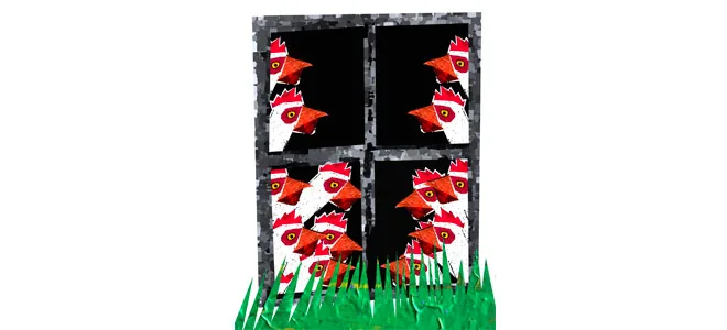 Illustration : des poules entrent dans une pièce par une fenêtre ouverte