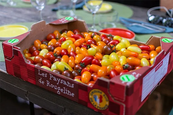 Photographie d'une cagette de tomates cerises multicolores