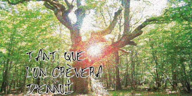 Photographie d'un arbre en contre-jour, inscription « Tant que l'on crèvera d'ennui »