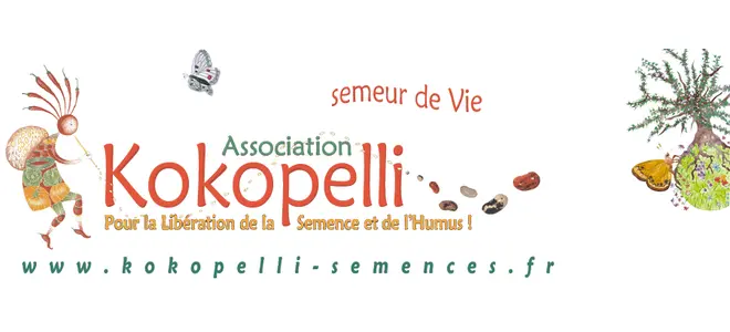 Illustration : oiseaux stylisés blancs sur fond orange (Kokopelli)