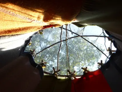 Photo : vue intérieure du toit d’une yourte et de sa couronne
