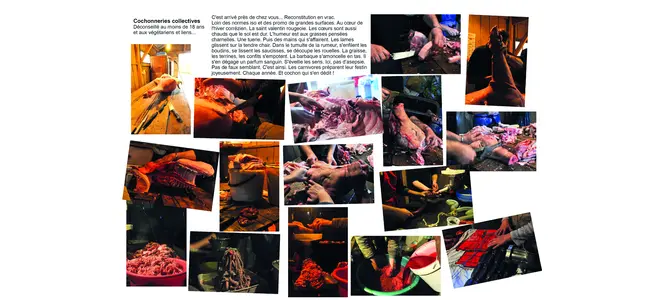 Collage : la fête du cochon en images