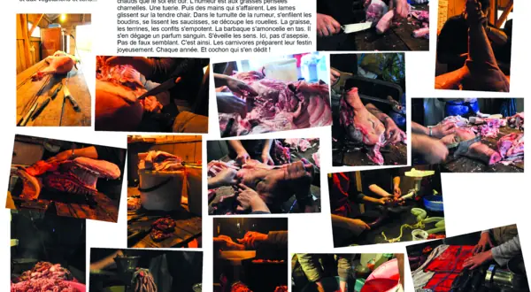 Collage : la fête du cochon en images
