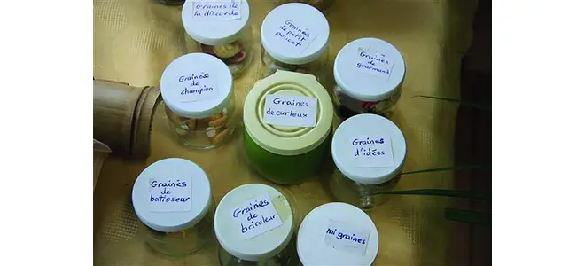 Photo : les pots de graines étiquetés de la bourse aux graines
