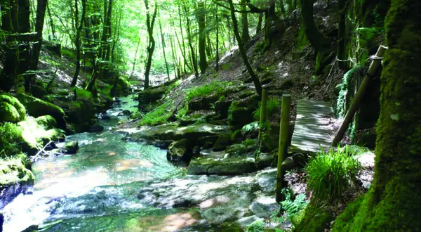 Les cascades de la Tine, au cœur des Monédières