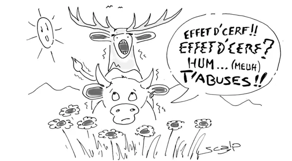 Un cerf en rut dans le ciel de La Porcherie