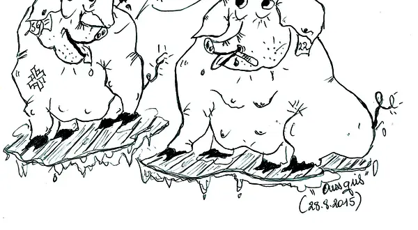 Dessin : le cochon en pâté, par O G