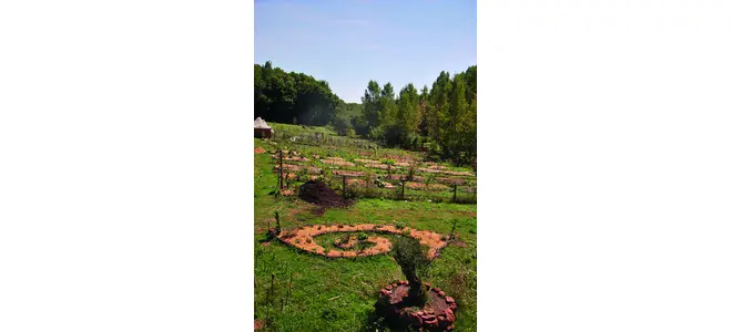 Photographie d’un jardin en permaculture avec des spirales de cultures, à Lib Air Terre.