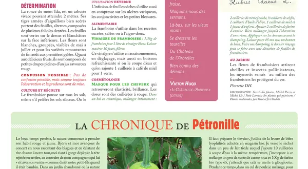 La chronique de Pétronille, et sa coloquinte