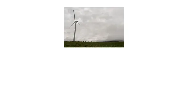 Des moutons pâturent au pied d’une éolienne du parc de Peyrelevade