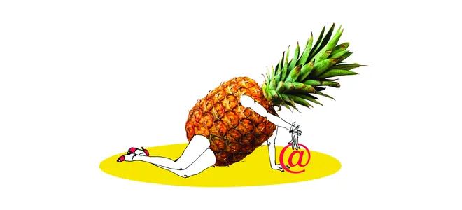 « E-marché de Tulle, el ananas loco ! »
