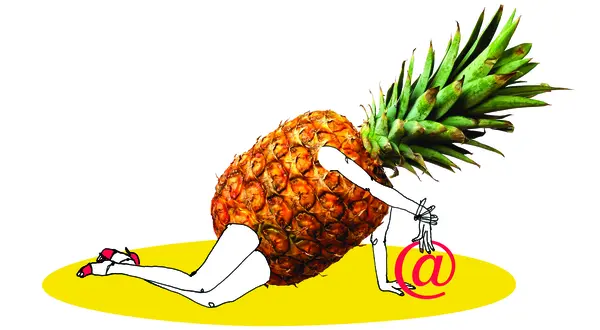 « E-marché de Tulle, el ananas loco ! »