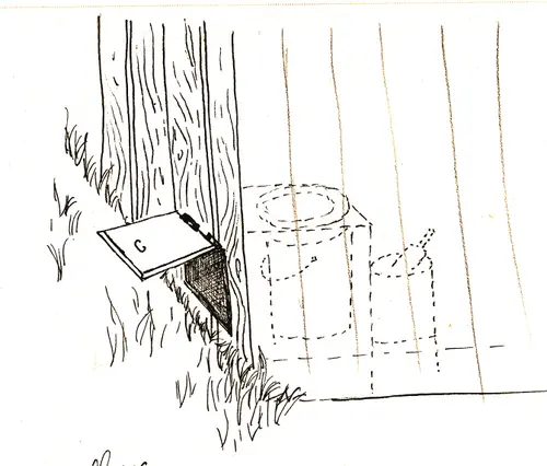 Croquis d’une toilette sèche extérieure
