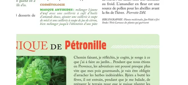 La chronique de Pétronille, au causse