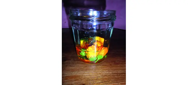 L’huile au calendula de Paulette