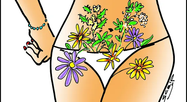 « Elles ont retrouvé le flux instinctif » : l’illustration