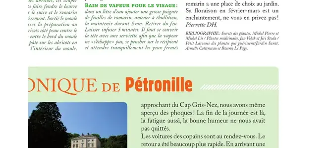 La chronique de Pétronille